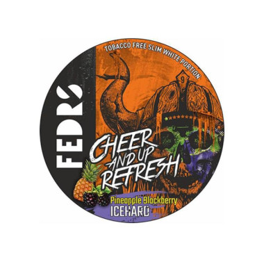 Fedrs Cheer And Up Refresh 9 Pineapple Blackberry Icehard Fedrs Cheer And Up Refresh 9 Pineapple Blackberry Icehard