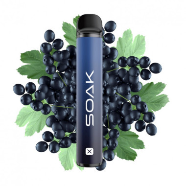 SOAK X Лесная черная смородина SOAK X Лесная черная смородина